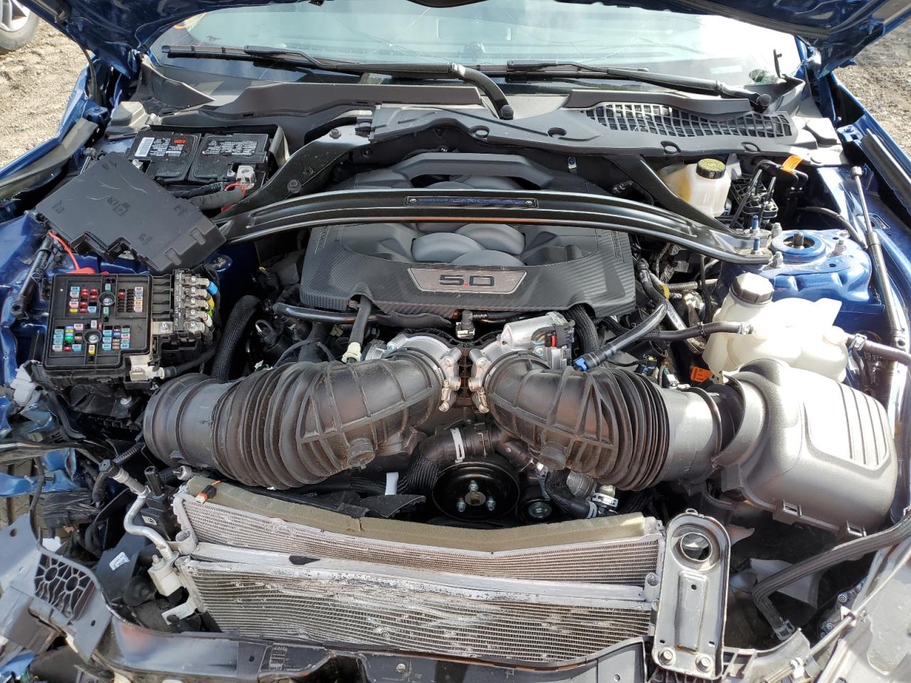 1FA6P8R03R5502420 FORD MUSTANG DA 2024