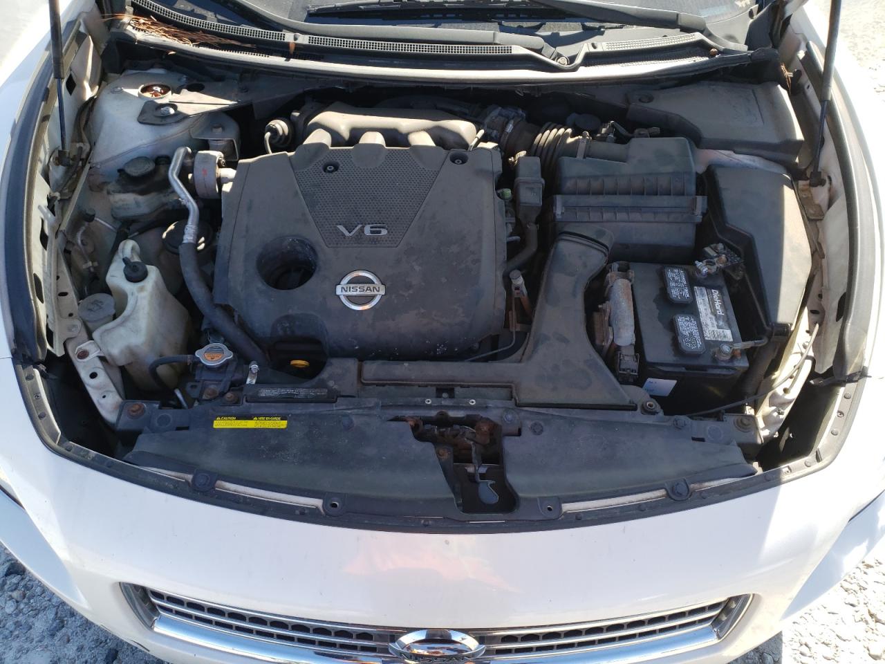 1N4AA5AP1AC809068 2010 Nissan Maxima S