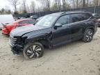 2024 VOLKSWAGEN ATLAS SE - 1V2HR2CA8RC512866