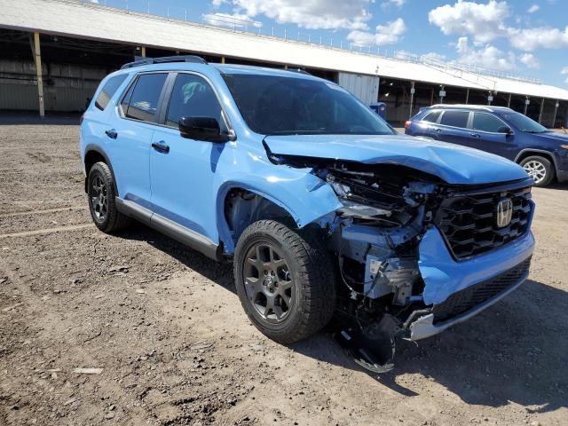 2024 HONDA PILOT TRAI 5FNYG1H64RB012521