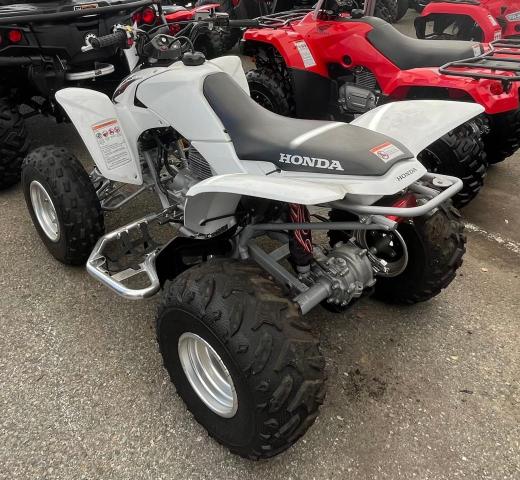 2008 HONDA TRX250 EX - 1HFTE270284701911