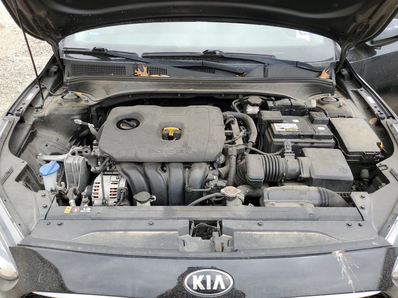 3KPF24AD3KE127106 2019 Kia Forte Fe