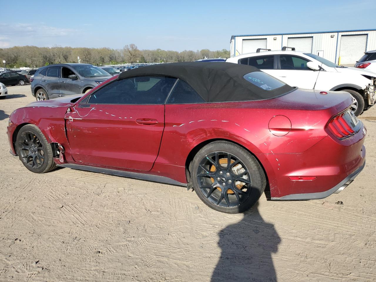 1FATP8UH1K5123826 FORD ALL Models 2019
