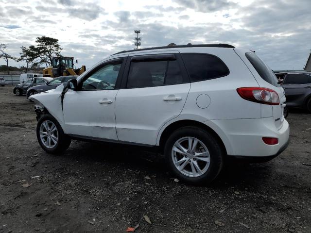 2010 Hyundai Santa Fe Gls VIN: 5NMSGDAB9AH351633 Lot: 51447224