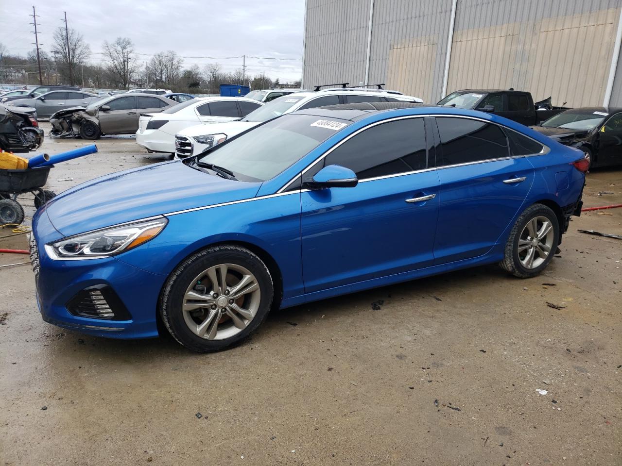 2019 Hyundai Sonata Limited vin: 5NPE34AF6KH755473