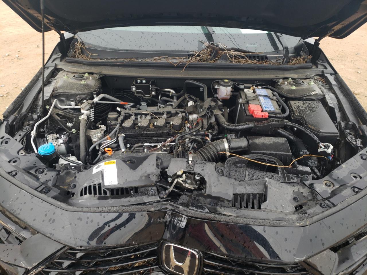 1HGCY1F38PA006146 HONDA ACCORD 2023