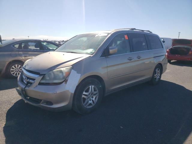 2005 Honda Odyssey Exl VIN: 5FNRL38655B042150 Lot: 46811244