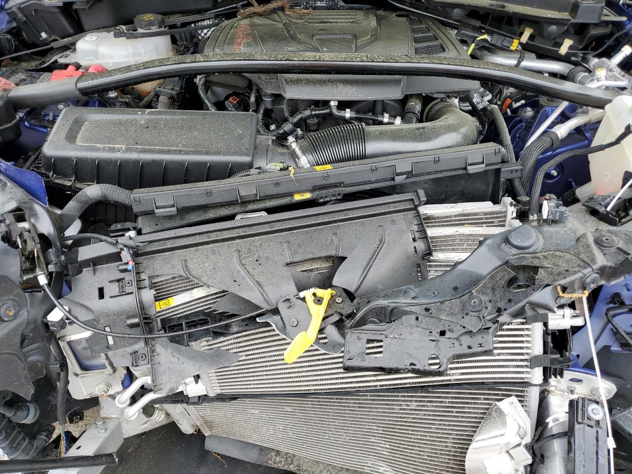 ZASPAJAN6M7D06491 2021 Alfa Romeo Stelvio Sport