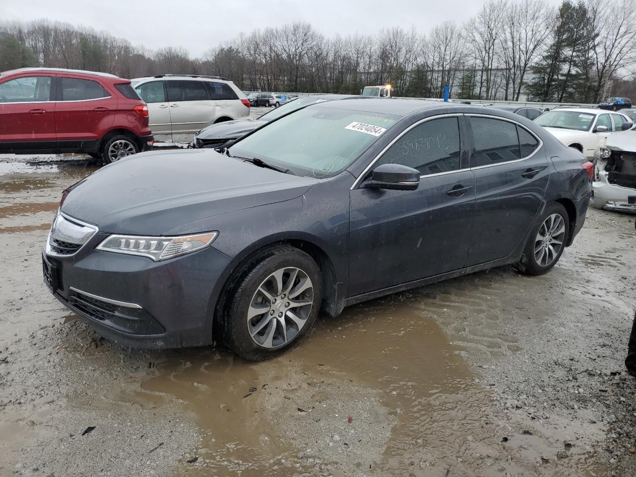 Lot #2428524595 2015 ACURA TLX TECH