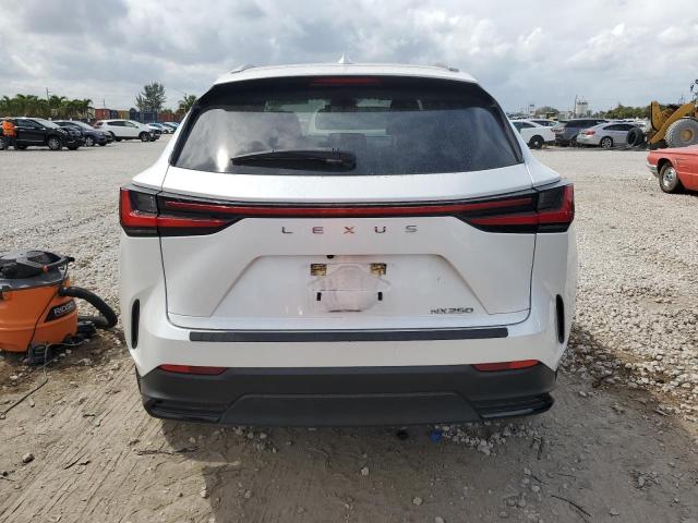 2022 LEXUS NX 250 JTJADCAZ0N5001048