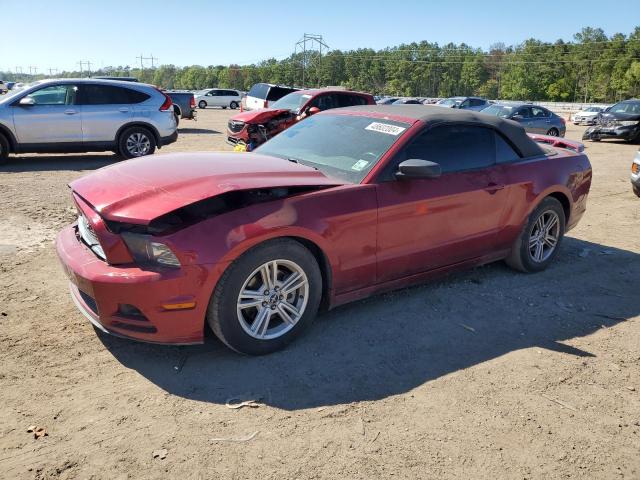 Lot #2524321993 2014 FORD MUSTANG salvage car