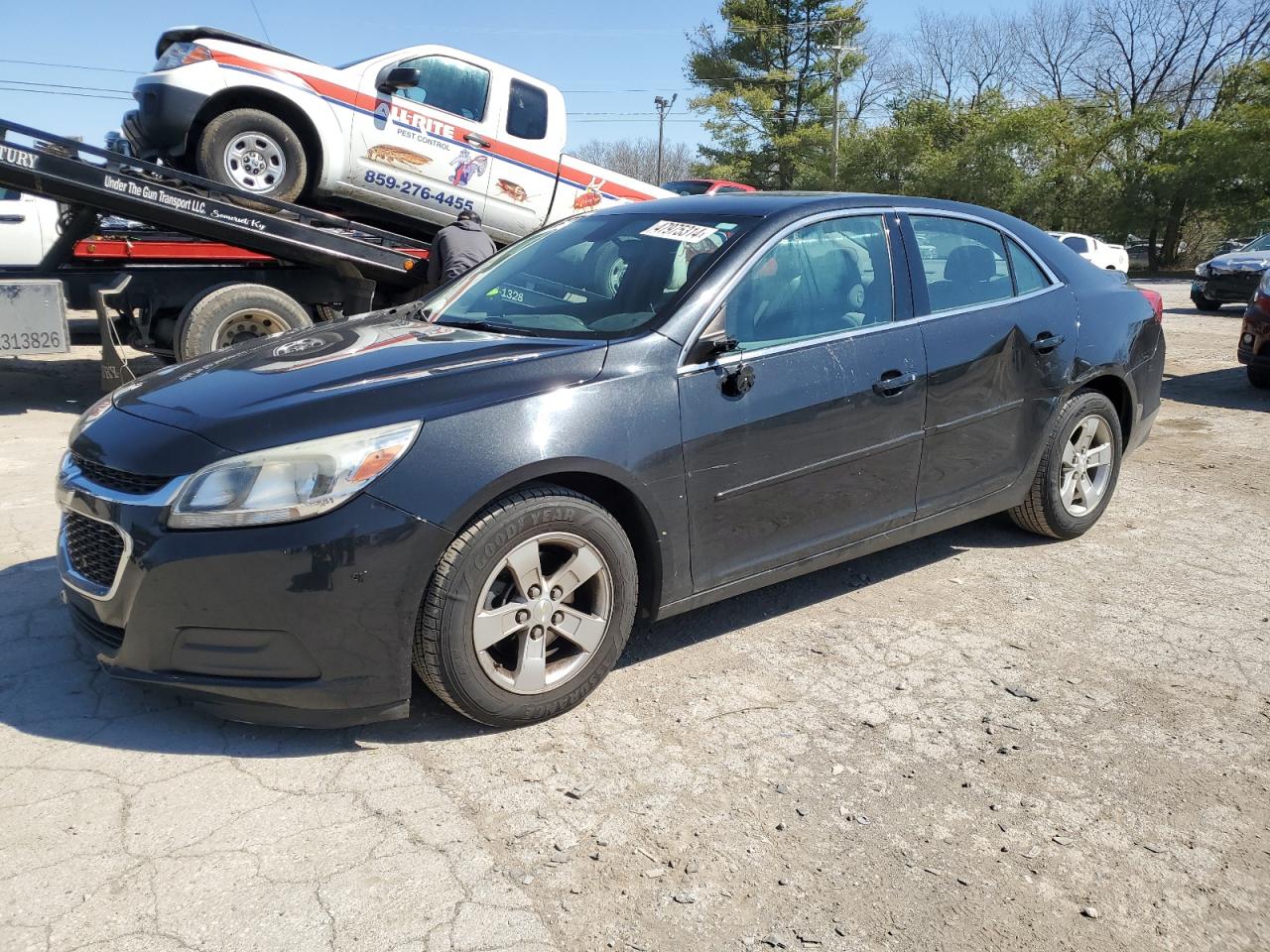 Lot #2423164687 2014 CHEVROLET MALIBU LS