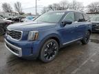 2024 KIA TELLURIDE - 5XYP5DGCXRG407662