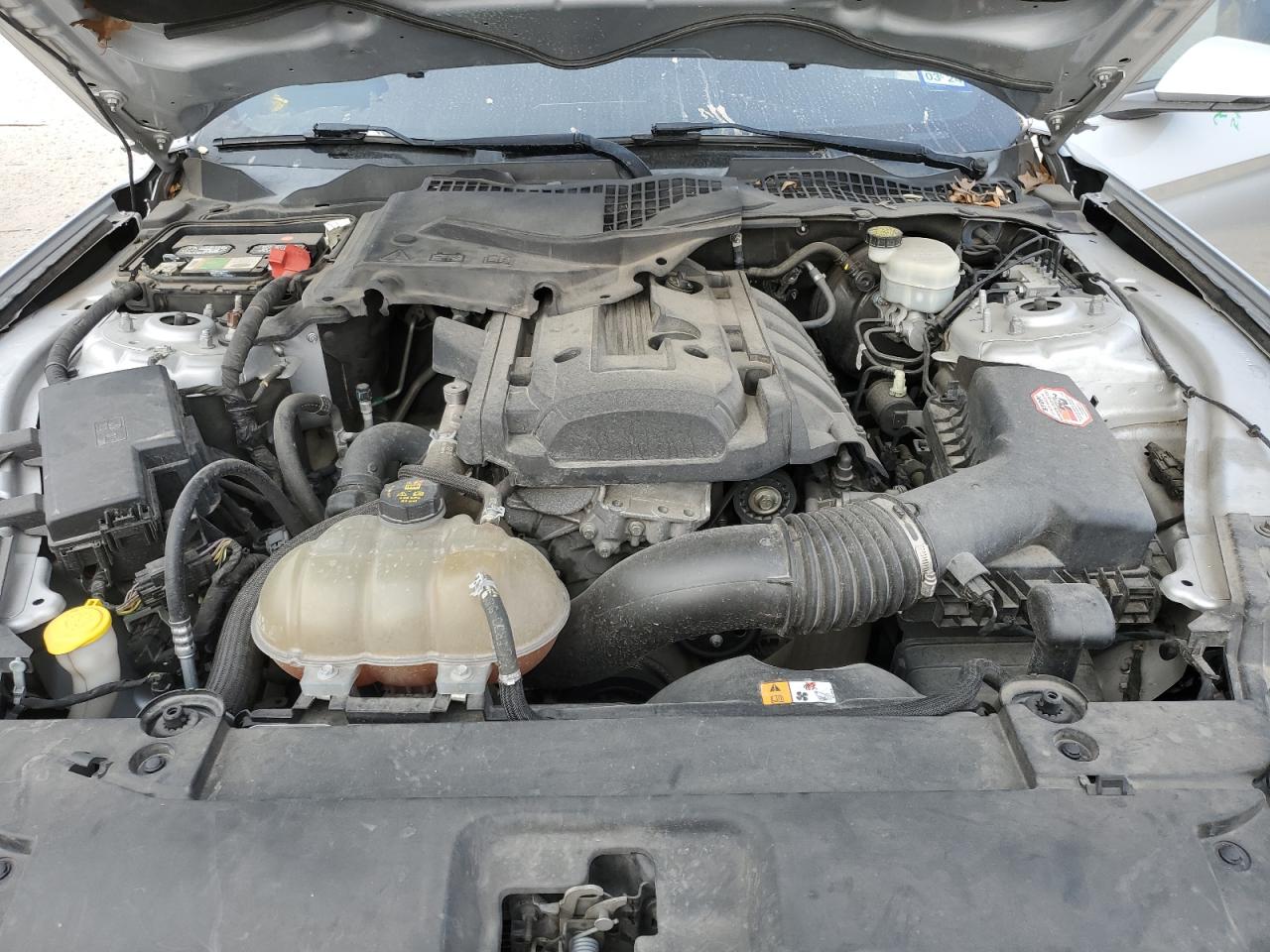 1FA6P8TH2H5239771 FORD ALL Models 2017