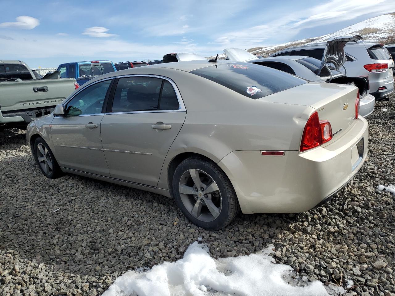 1G1ZC5EU1BF131843 2011 Chevrolet Malibu 1Lt