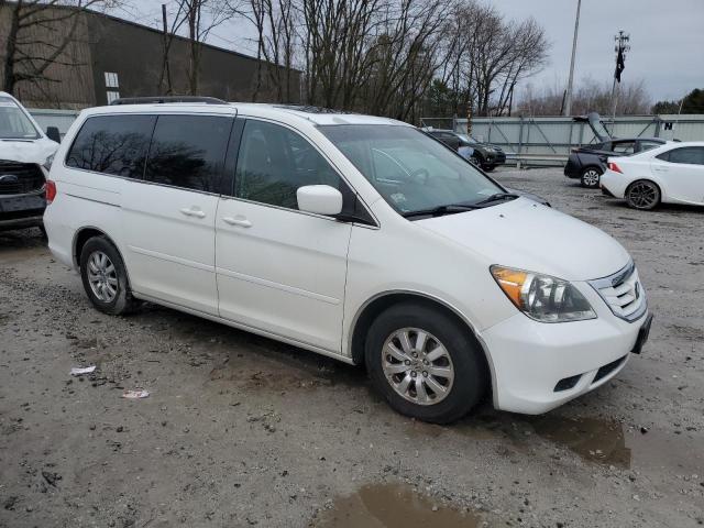 2009 Honda Odyssey Exl VIN: 5FNRL38629B406370 Lot: 50360754