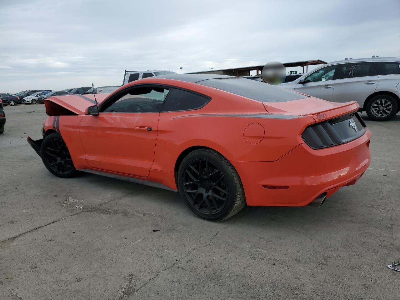 1FA6P8AM1F5338076 2015 Ford Mustang