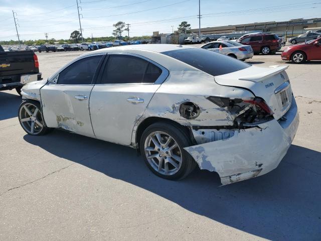 2013 Nissan Maxima S VIN: 1N4AA5AP2DC809407 Lot: 48876354