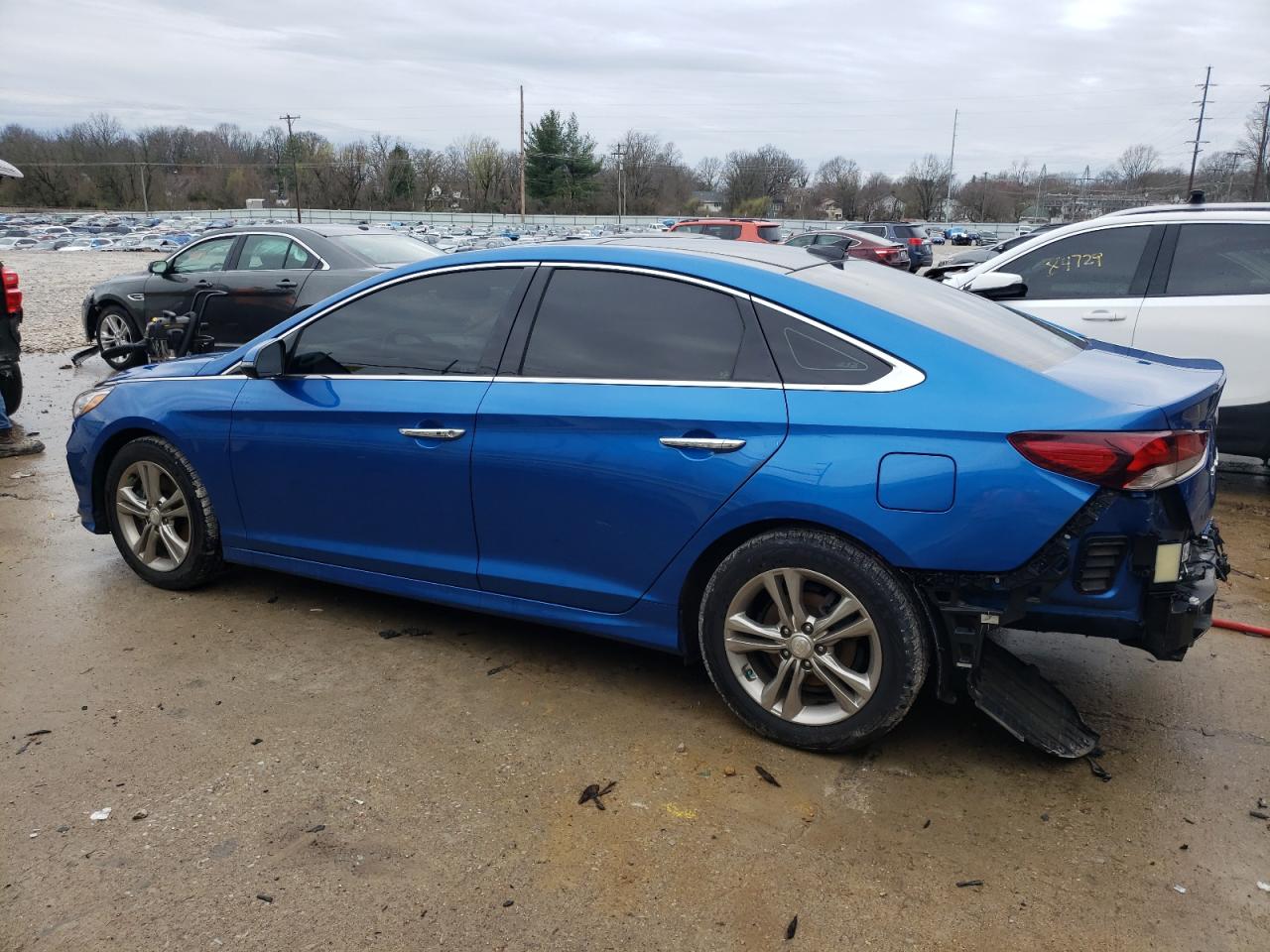 2019 Hyundai Sonata Limited vin: 5NPE34AF6KH755473