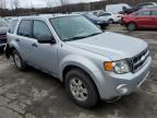 FORD ESCAPE XLT photo