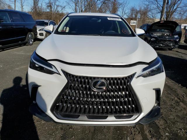 2024 LEXUS NX 250 BAS JTJADCAZ0R5014095