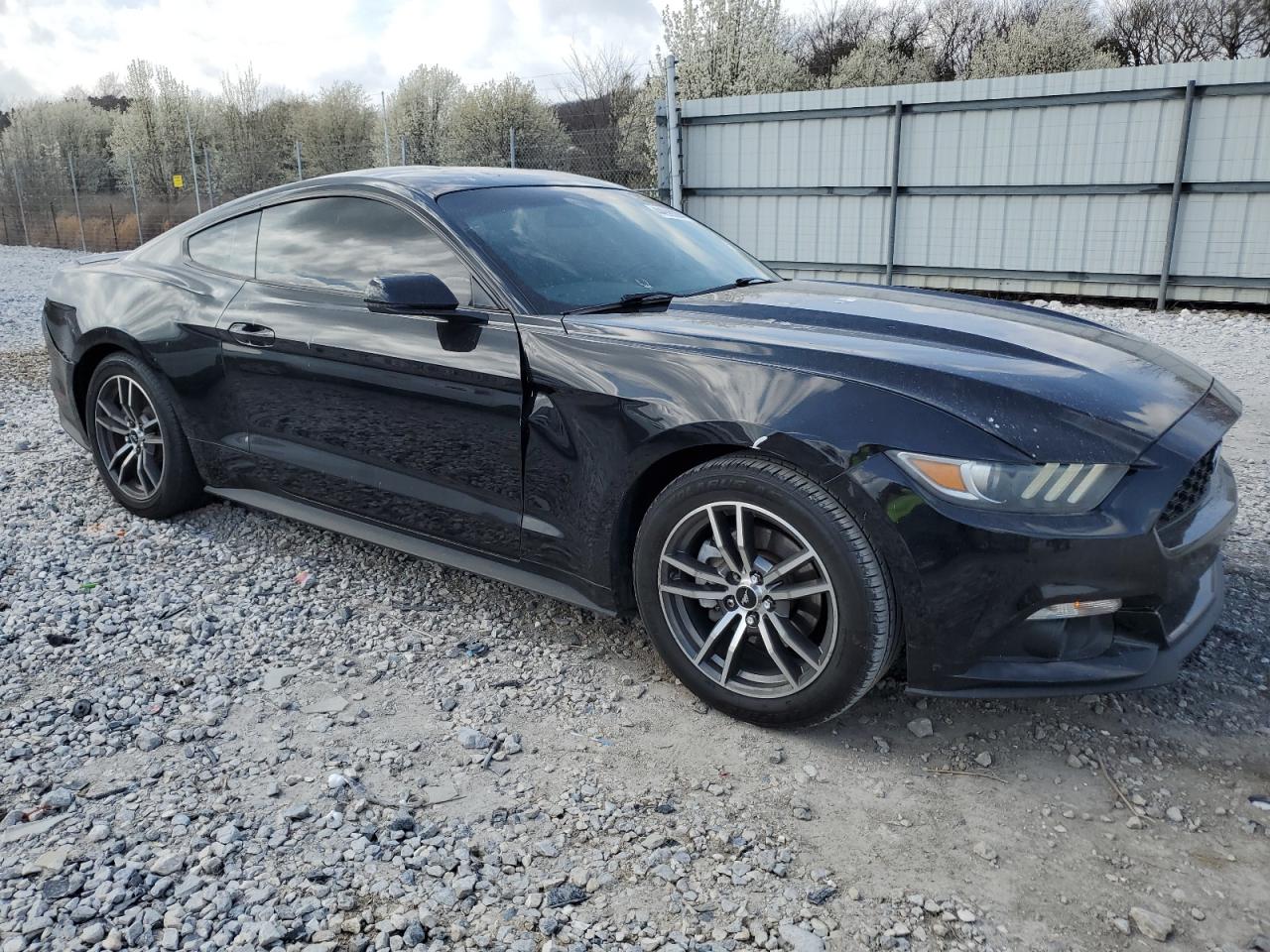 1FA6P8TH3H5313117 FORD ALL Models 2017