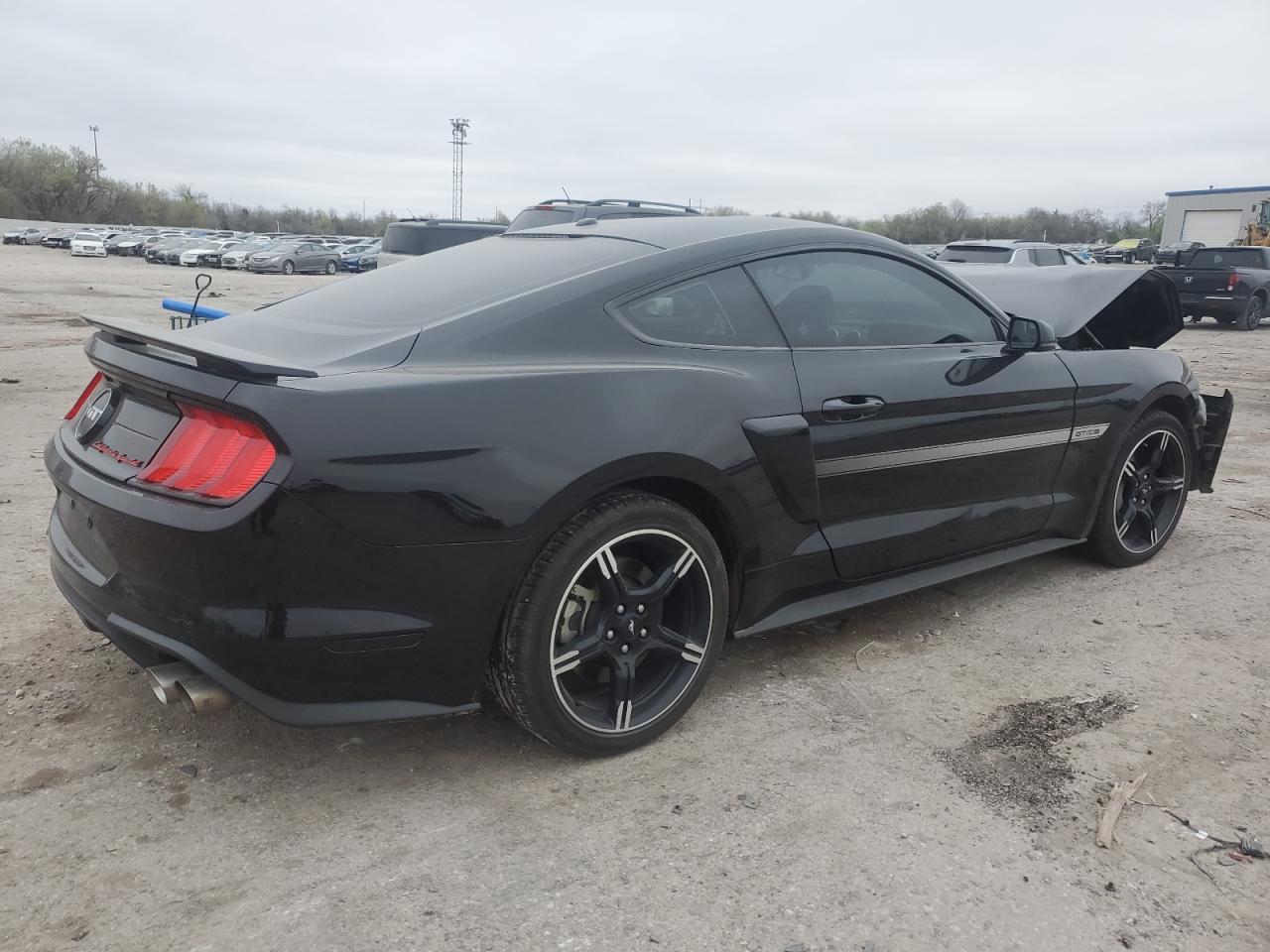 1FA6P8CF3K5102117 FORD MUSTANG 2019