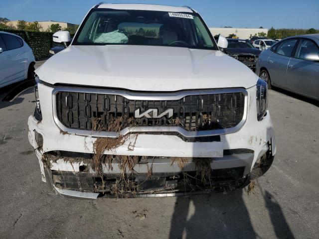 2024 Kia Telluride Ex VIN: 5XYP34GC0RG416263 Lot: 48055784