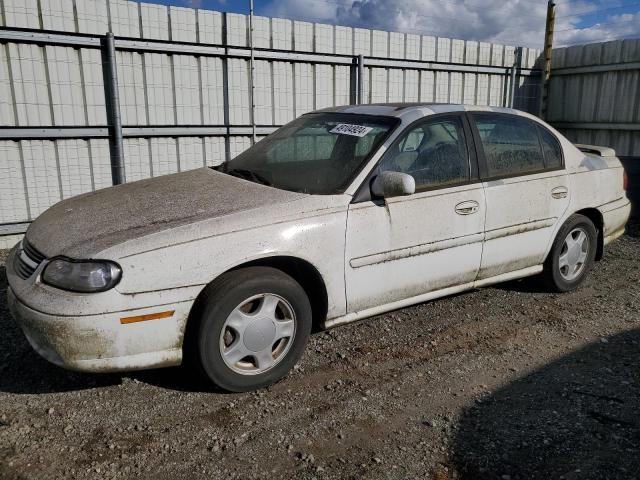 2000 Chevrolet Malibu Ls VIN: 1G1NE52J5Y6337999 Lot: 49104924