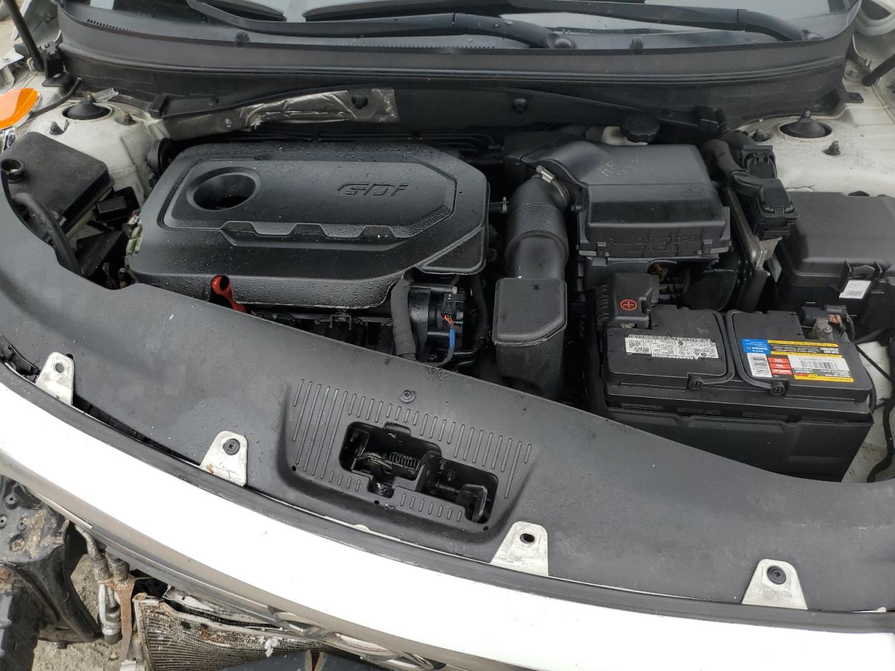 5NPE24AF3GH359172 2016 Hyundai Sonata Se