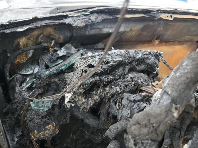 1995 Ford F150 VIN: 1FTEX14N1SKC00521 Lot: 57280734