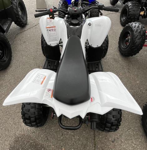 2022 YAMAHA YFM90 R RF3AB11E6NT005741