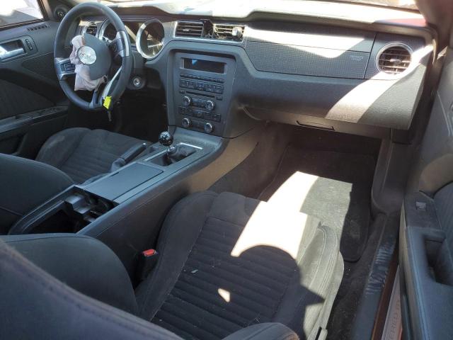 2012 Ford Mustang Boss 302 VIN: 1ZVBP8CU2C5276024 Lot: 54205794