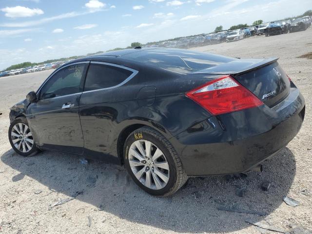 2009 Honda Accord Exl VIN: 1HGCS22829A000905 Lot: 49028174