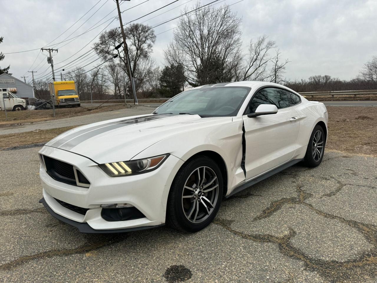 1FA6P8TH8H5356996 FORD ALL Models 2017