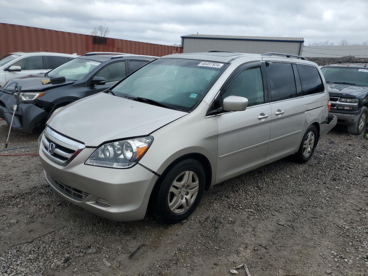 5FNRL38736B461706 2006 Honda Odyssey Exl