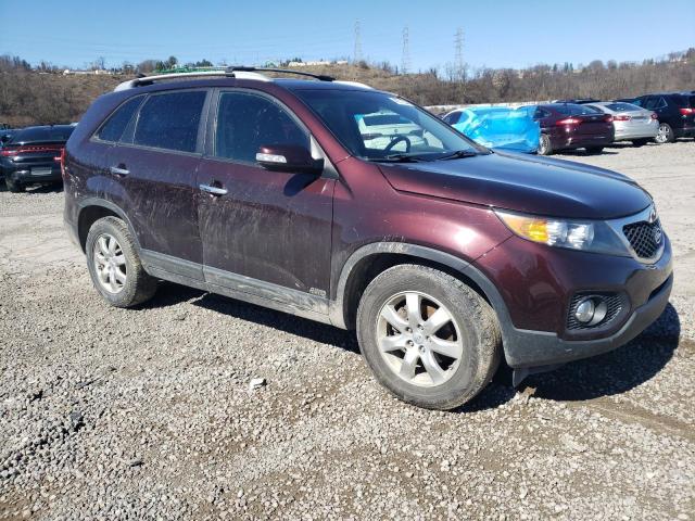 2012 Kia Sorento Base VIN: 5XYKTDA65CG254229 Lot: 49826064