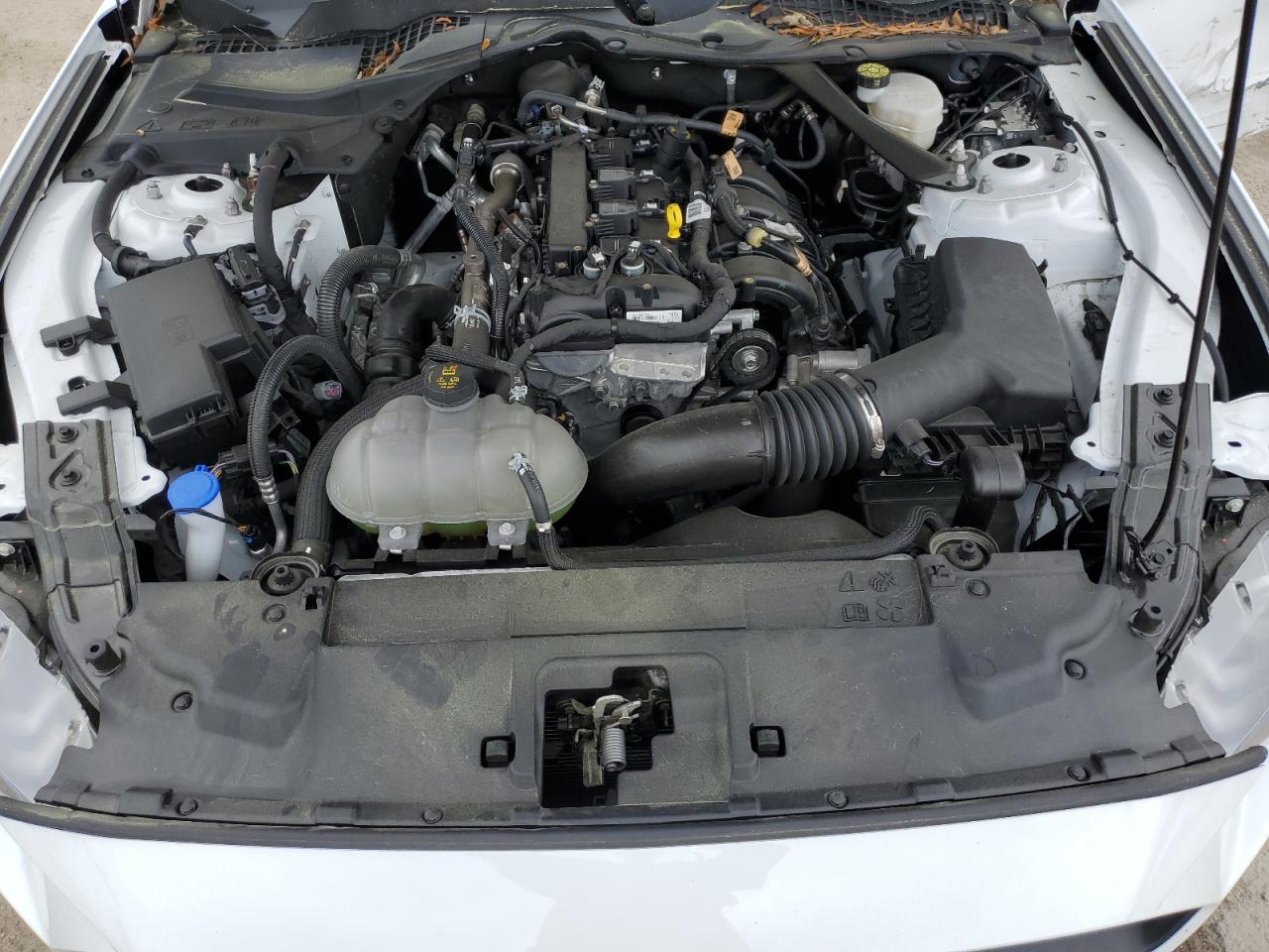 1FATP8UH3P5104007 FORD ALL Models 2023