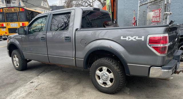 Vin: 1ftew1e8xafa29285, lot: 48048704, ford f-150 supercrew 20103
