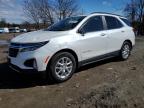 2023 CHEVROLET EQUINOX LT - 3GNAXKEG3PS208790