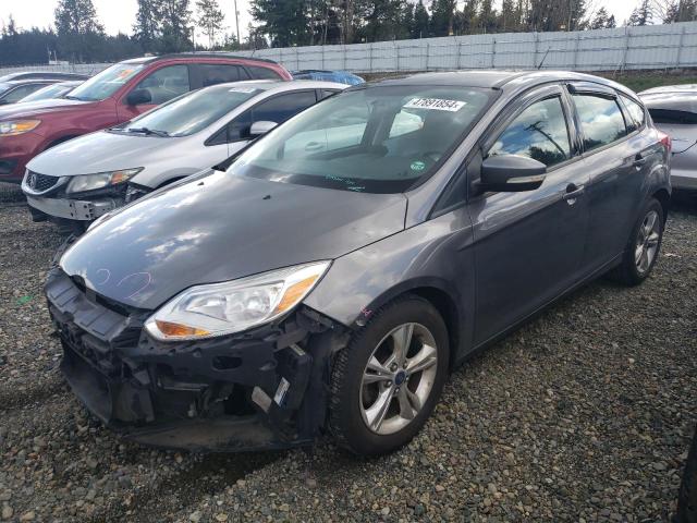 Lot #2428539645 2013 FORD FOCUS SE salvage car