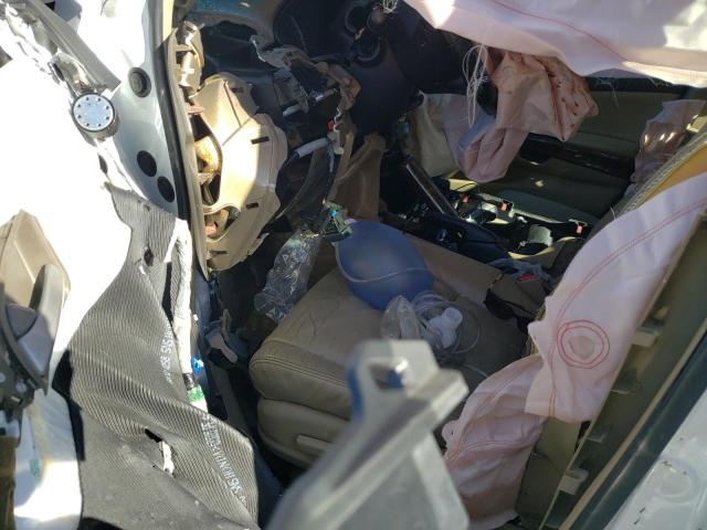 2009 Honda Accord Exl VIN: 1HGCP26899A136847 Lot: 50673034