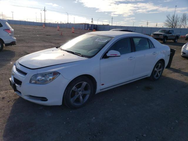 2011 Chevrolet Malibu 1Lt VIN: 1G1ZC5EU2BF223723 Lot: 46966844