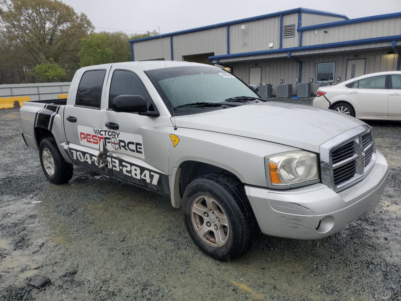 Lot #3026099100 2007 DODGE DAKOTA QUA