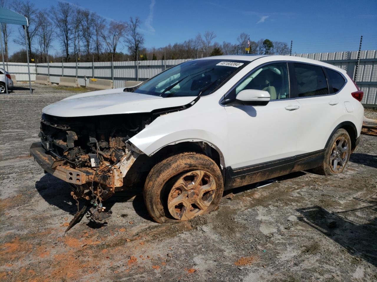 2019 Honda Cr-V Exl vin: 5J6RW1H82KA024331