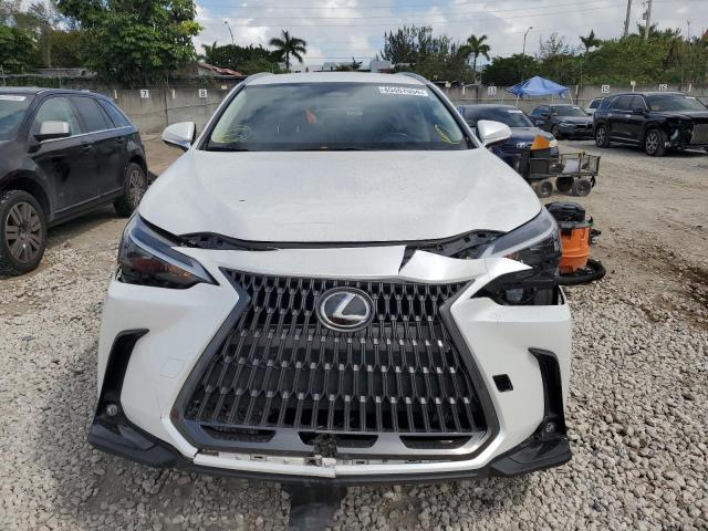 2022 LEXUS NX 250 JTJADCAZ0N5001048