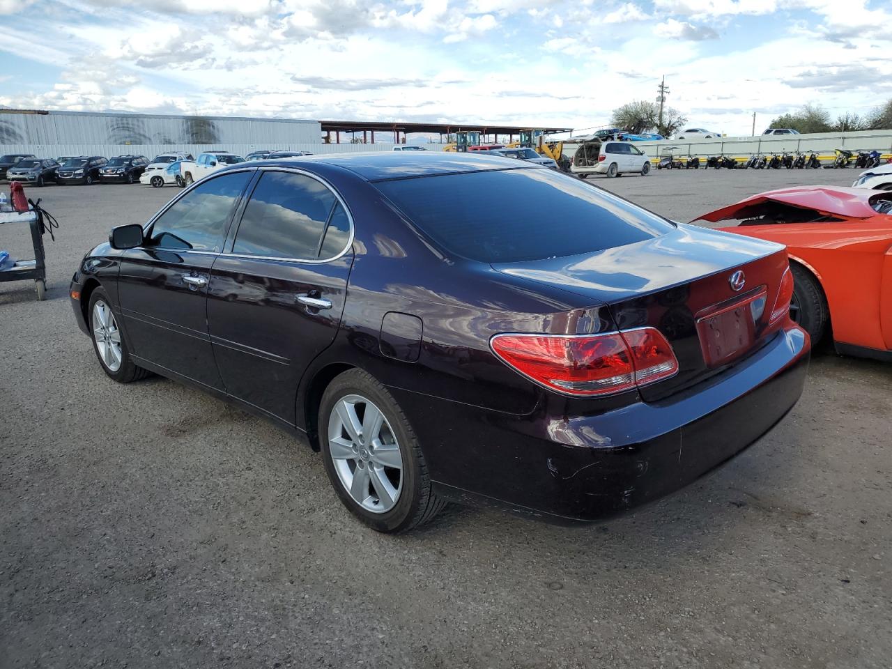 JTHBA30G365154135 2006 Lexus Es 330