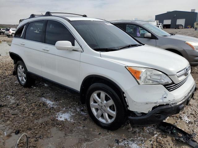 2007 Honda Cr-V Exl VIN: JHLRE48737C123126 Lot: 49019364