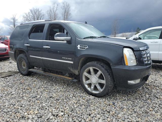 2009 Cadillac Escalade Luxury VIN: 1GYFK23289R173281 Lot: 47747724