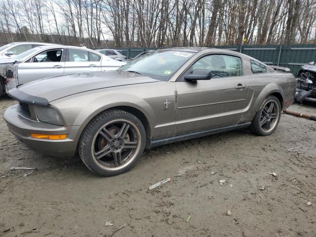 Lot #2429204540 2005 FORD MUSTANG salvage car